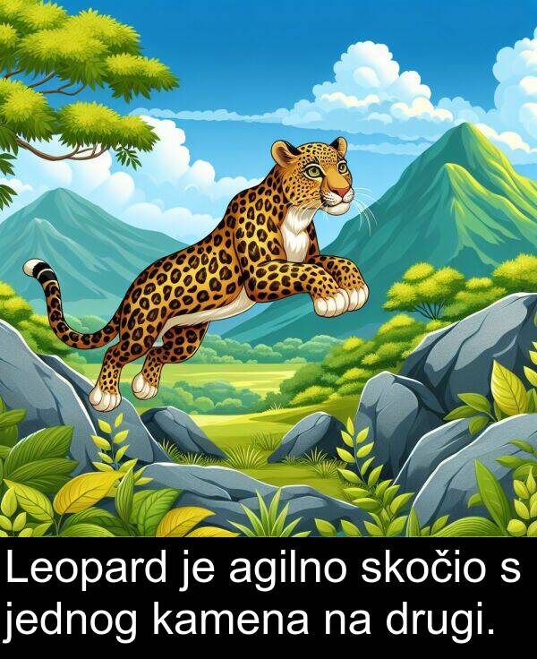 agilno: Leopard je agilno skočio s jednog kamena na drugi.