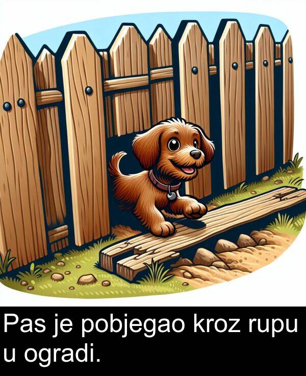 ogradi: Pas je pobjegao kroz rupu u ogradi.