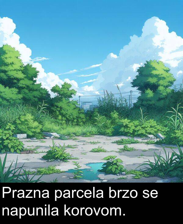 napunila: Prazna parcela brzo se napunila korovom.