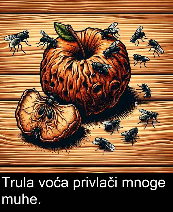 voća: Trula voća privlači mnoge muhe.