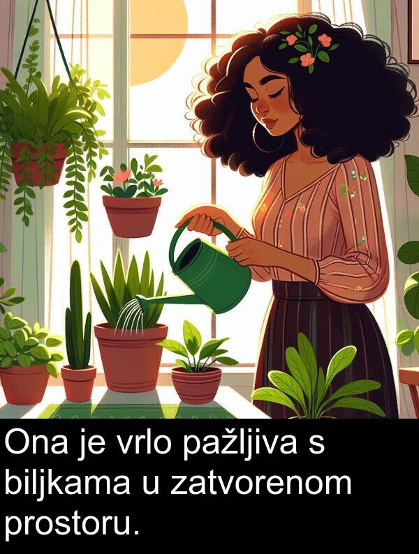 biljkama: Ona je vrlo pažljiva s biljkama u zatvorenom prostoru.