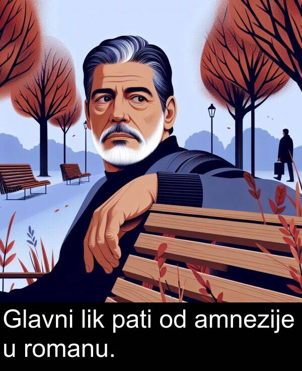 amnezije: Glavni lik pati od amnezije u romanu.