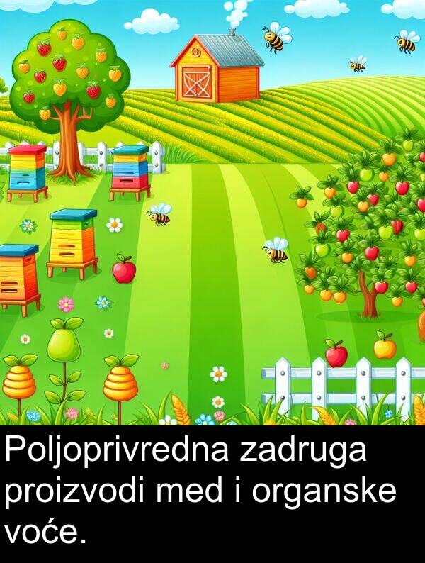 zadruga: Poljoprivredna zadruga proizvodi med i organske voće.