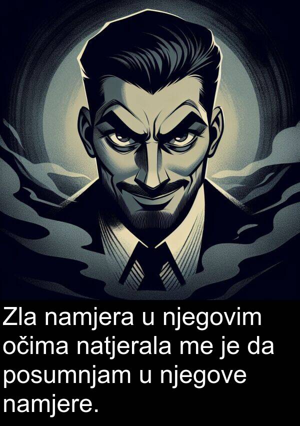 očima: Zla namjera u njegovim očima natjerala me je da posumnjam u njegove namjere.