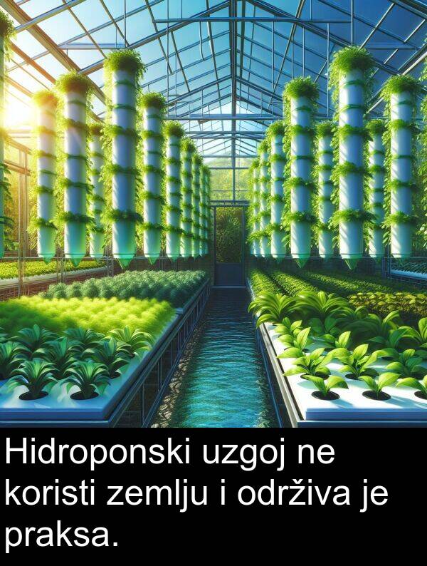 koristi: Hidroponski uzgoj ne koristi zemlju i održiva je praksa.