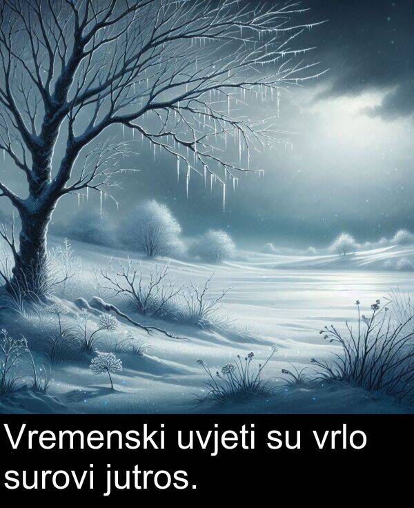 vrlo: Vremenski uvjeti su vrlo surovi jutros.