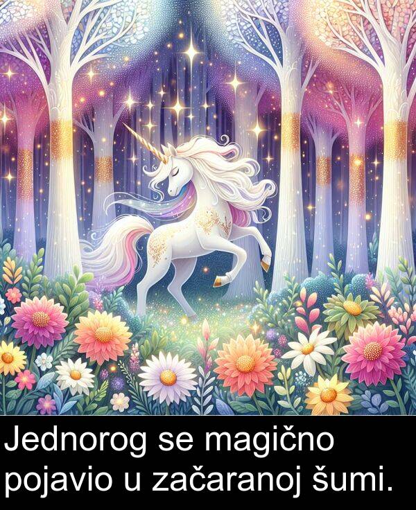 magično: Jednorog se magično pojavio u začaranoj šumi.