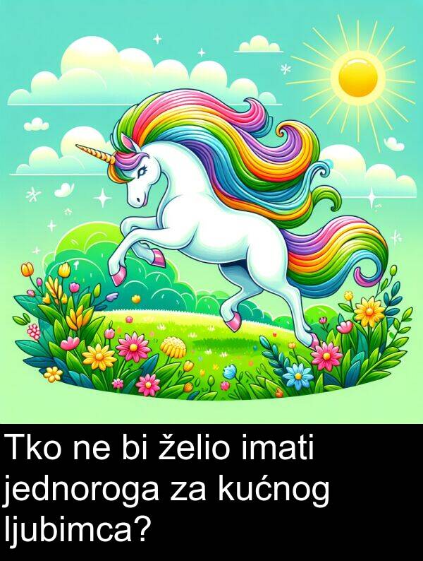 imati: Tko ne bi želio imati jednoroga za kućnog ljubimca?
