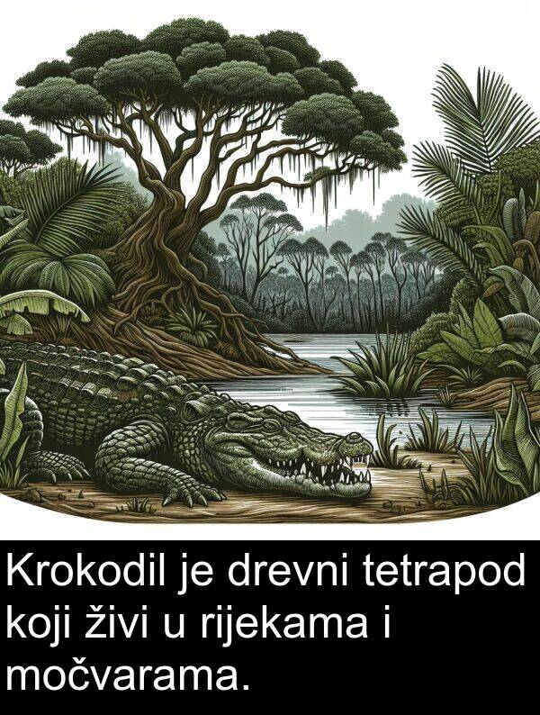 živi: Krokodil je drevni tetrapod koji živi u rijekama i močvarama.