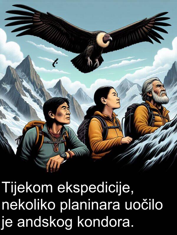 andskog: Tijekom ekspedicije, nekoliko planinara uočilo je andskog kondora.