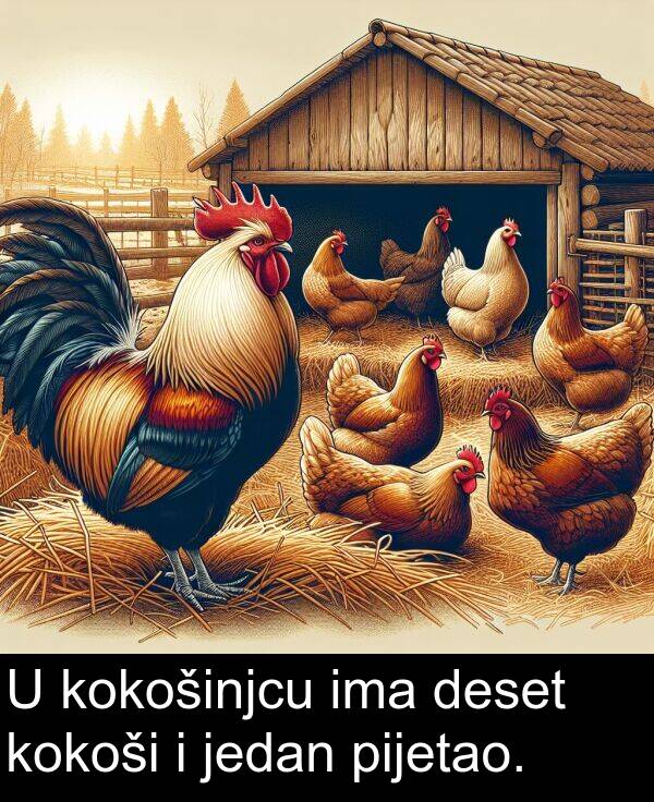 deset: U kokošinjcu ima deset kokoši i jedan pijetao.