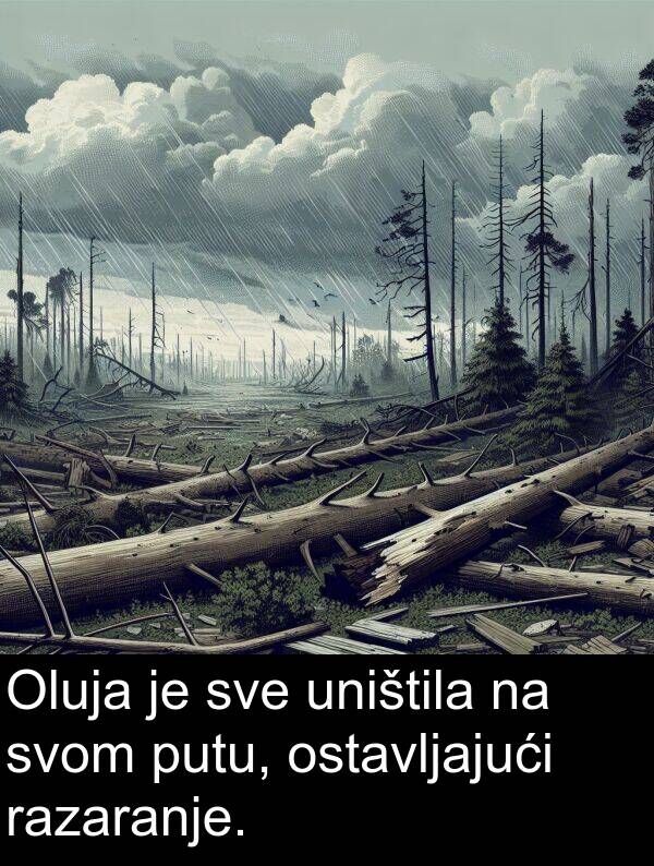 uništila: Oluja je sve uništila na svom putu, ostavljajući razaranje.