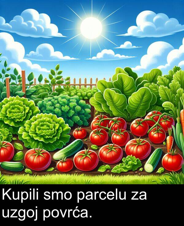 smo: Kupili smo parcelu za uzgoj povrća.