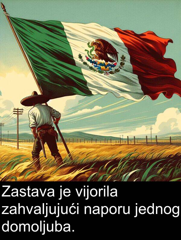 zahvaljujući: Zastava je vijorila zahvaljujući naporu jednog domoljuba.