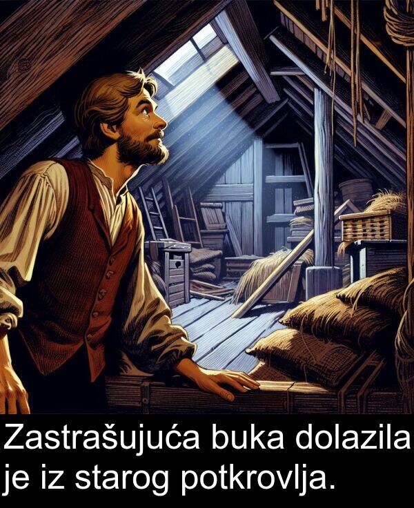 starog: Zastrašujuća buka dolazila je iz starog potkrovlja.