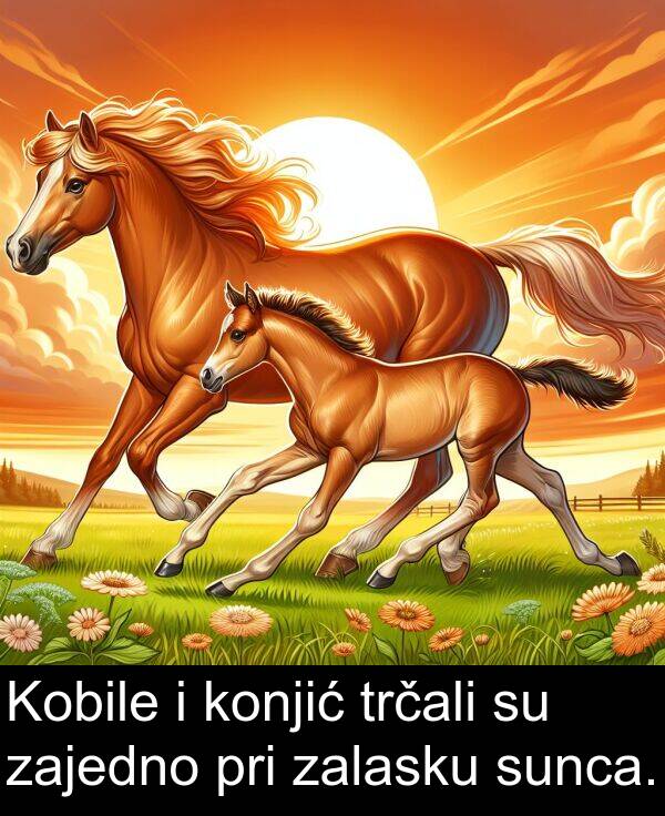zajedno: Kobile i konjić trčali su zajedno pri zalasku sunca.