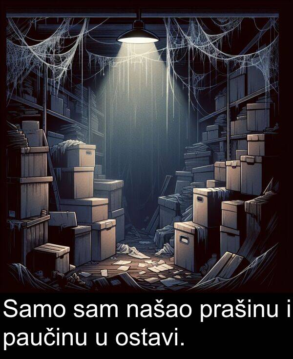 paučinu: Samo sam našao prašinu i paučinu u ostavi.