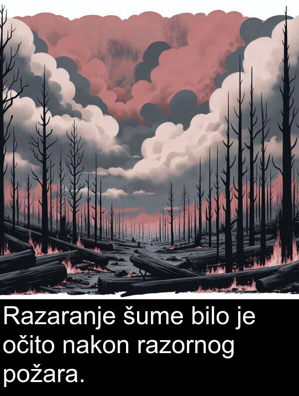 bilo: Razaranje šume bilo je očito nakon razornog požara.