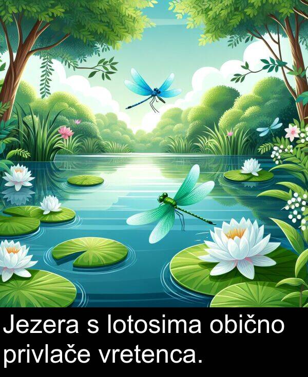 obično: Jezera s lotosima obično privlače vretenca.
