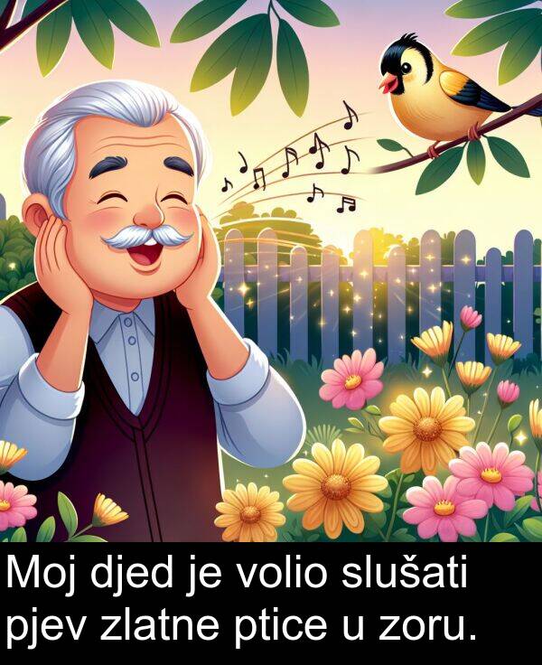djed: Moj djed je volio slušati pjev zlatne ptice u zoru.