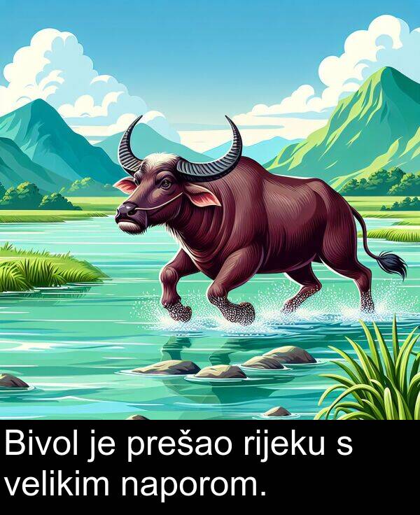 velikim: Bivol je prešao rijeku s velikim naporom.
