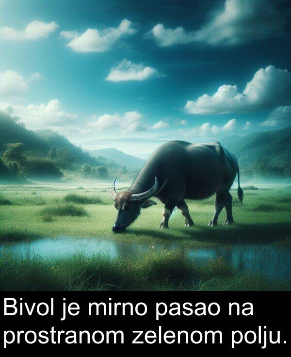 pasao: Bivol je mirno pasao na prostranom zelenom polju.