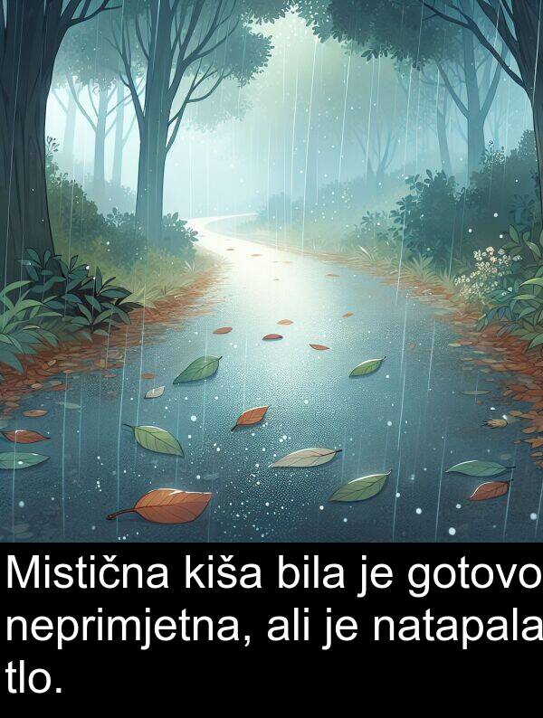 ali: Mistična kiša bila je gotovo neprimjetna, ali je natapala tlo.