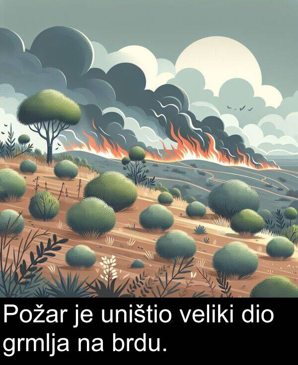 veliki: Požar je uništio veliki dio grmlja na brdu.