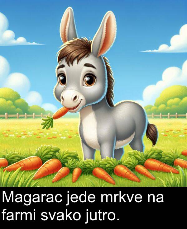 farmi: Magarac jede mrkve na farmi svako jutro.