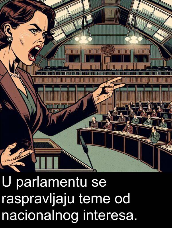 parlamentu: U parlamentu se raspravljaju teme od nacionalnog interesa.
