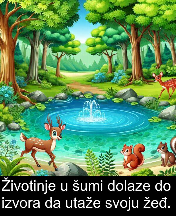 izvora: Životinje u šumi dolaze do izvora da utaže svoju žeđ.