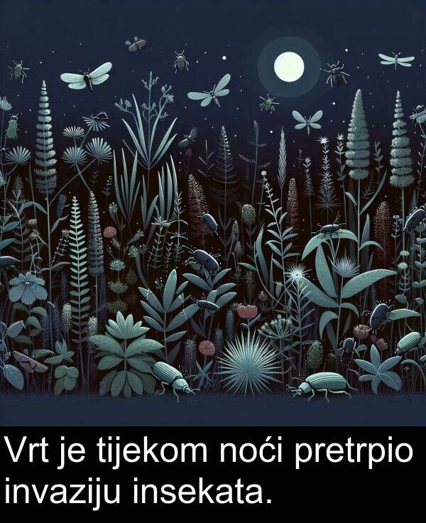 tijekom: Vrt je tijekom noći pretrpio invaziju insekata.