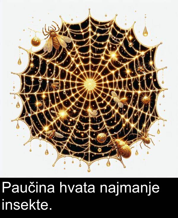 hvata: Paučina hvata najmanje insekte.