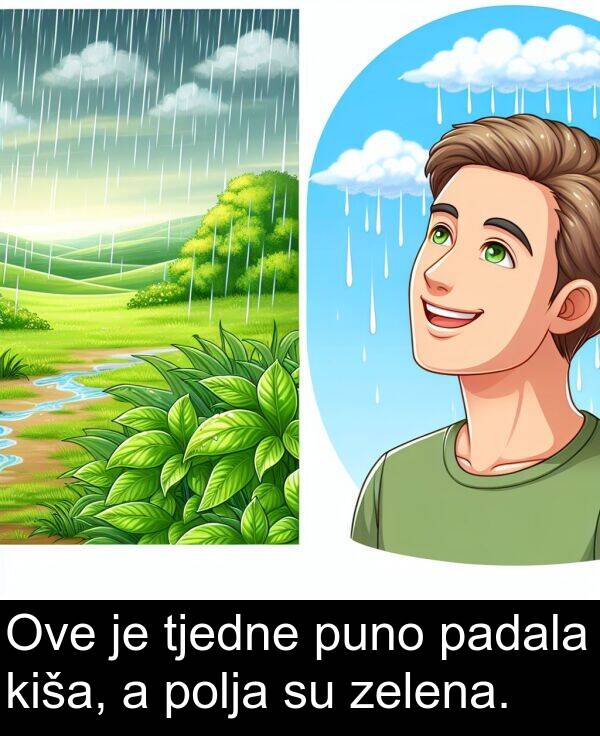 kiša: Ove je tjedne puno padala kiša, a polja su zelena.