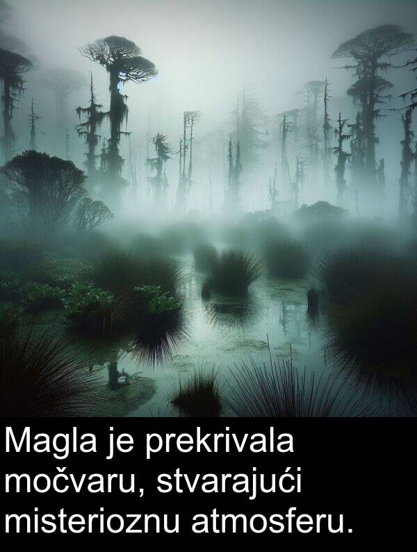 atmosferu: Magla je prekrivala močvaru, stvarajući misterioznu atmosferu.