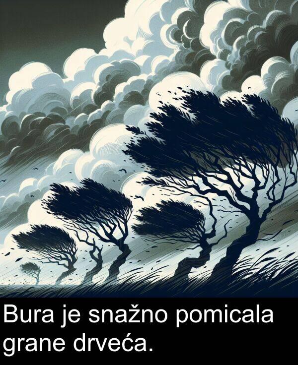 drveća: Bura je snažno pomicala grane drveća.