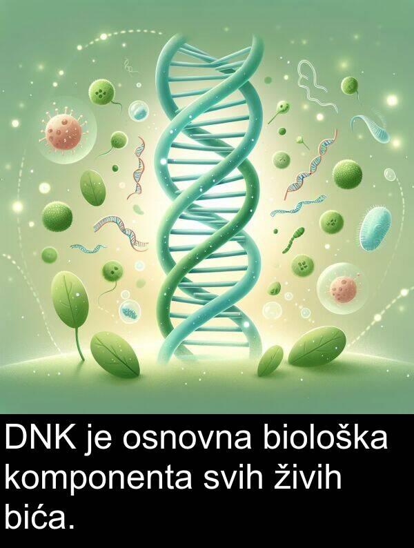 biološka: DNK je osnovna biološka komponenta svih živih bića.