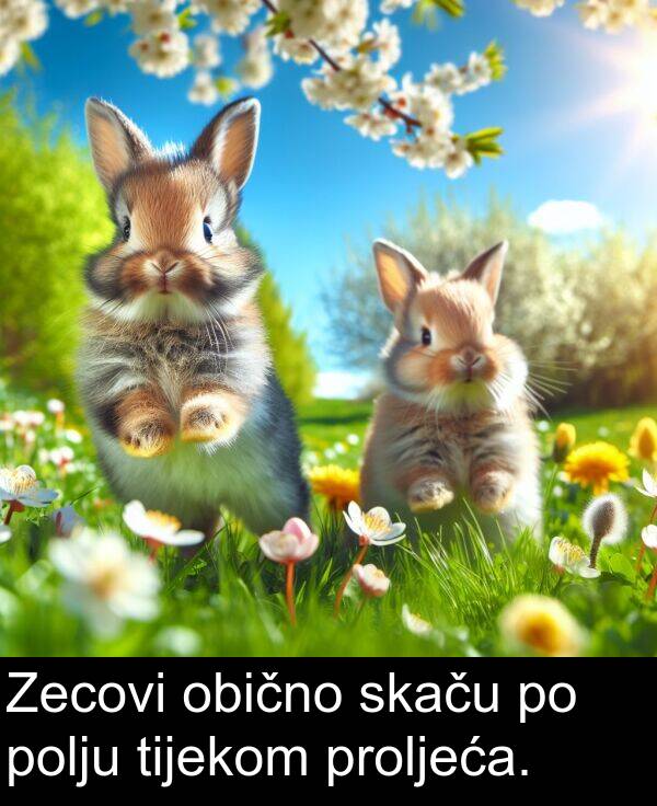 tijekom: Zecovi obično skaču po polju tijekom proljeća.