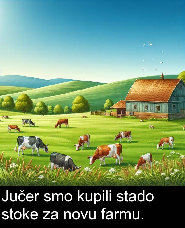 farmu: Jučer smo kupili stado stoke za novu farmu.