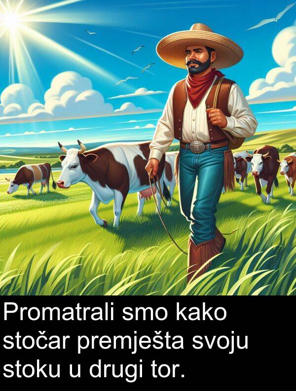 drugi: Promatrali smo kako stočar premješta svoju stoku u drugi tor.