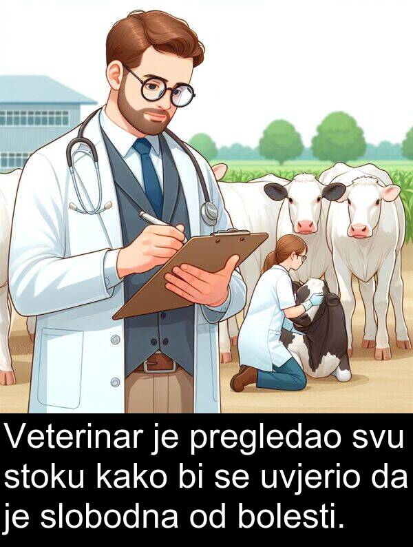 svu: Veterinar je pregledao svu stoku kako bi se uvjerio da je slobodna od bolesti.