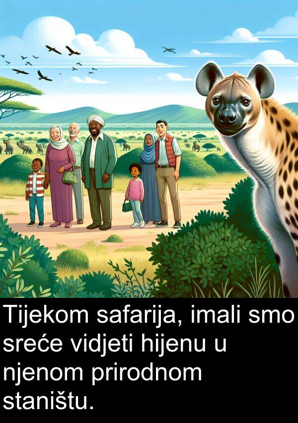 imali: Tijekom safarija, imali smo sreće vidjeti hijenu u njenom prirodnom staništu.
