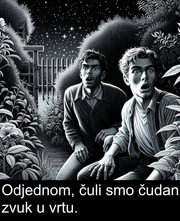 čuli: Odjednom, čuli smo čudan zvuk u vrtu.