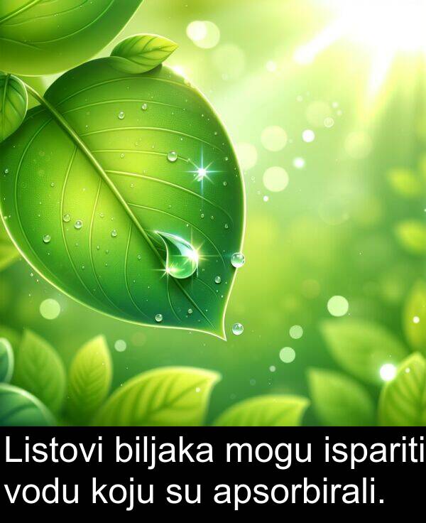 apsorbirali: Listovi biljaka mogu ispariti vodu koju su apsorbirali.