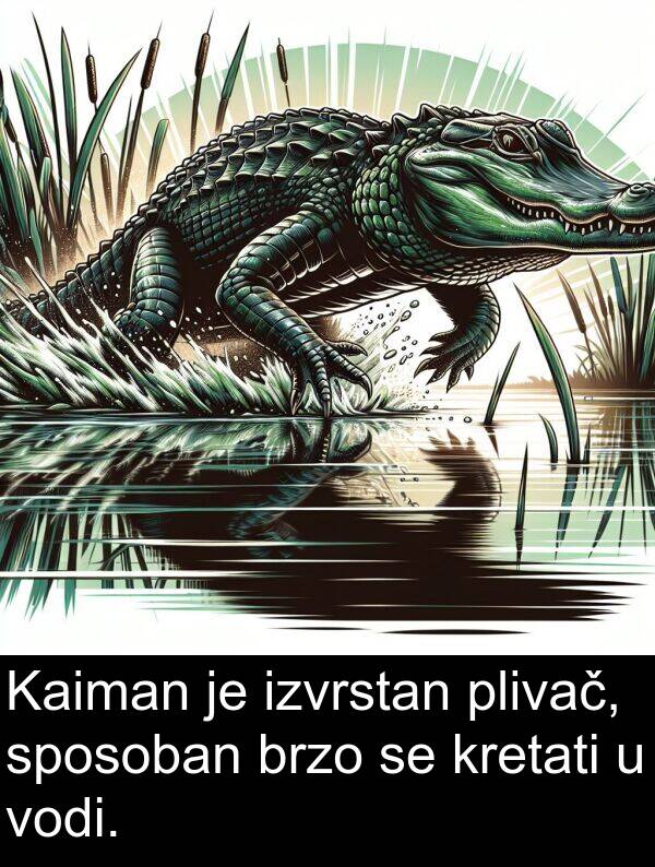 vodi: Kaiman je izvrstan plivač, sposoban brzo se kretati u vodi.