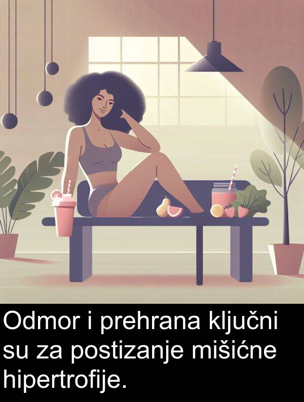 ključni: Odmor i prehrana ključni su za postizanje mišićne hipertrofije.