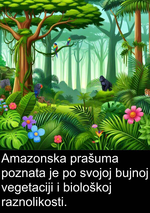 biološkoj: Amazonska prašuma poznata je po svojoj bujnoj vegetaciji i biološkoj raznolikosti.