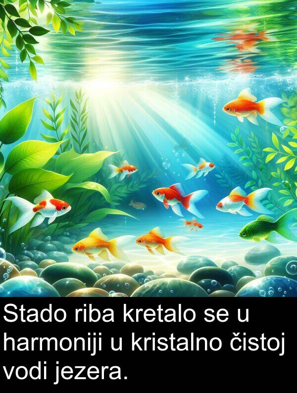 čistoj: Stado riba kretalo se u harmoniji u kristalno čistoj vodi jezera.