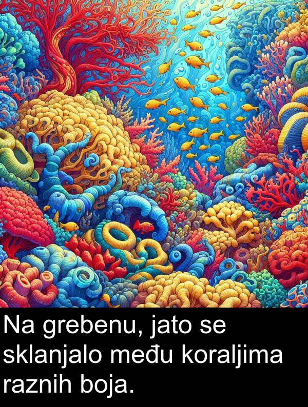 među: Na grebenu, jato se sklanjalo među koraljima raznih boja.