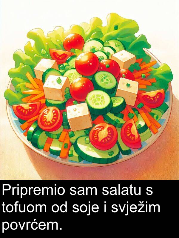 salatu: Pripremio sam salatu s tofuom od soje i svježim povrćem.